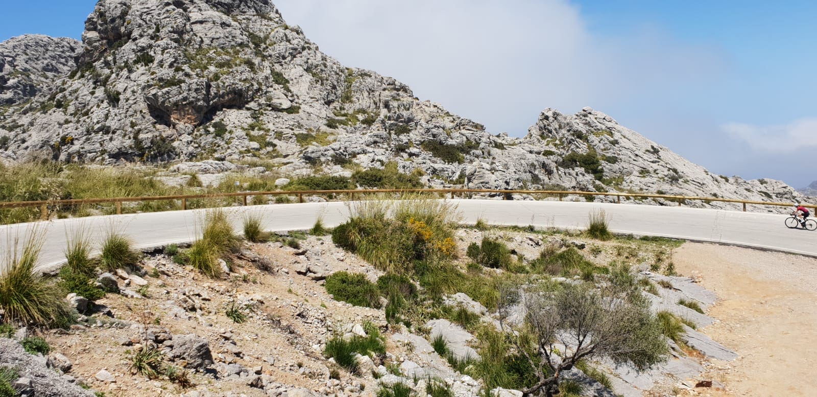 Het belang van vitaminen en mineralen